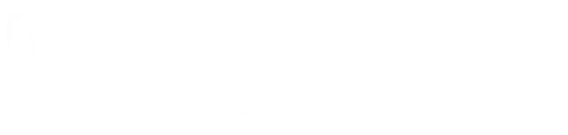 Dr Gaggandeep Singh Alg